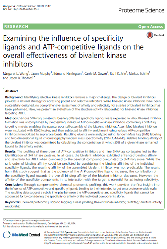 Examining the influence of specificity ligands and ATP-competitive ligands on the overall effectiveness of bivalent kinase inhibitors